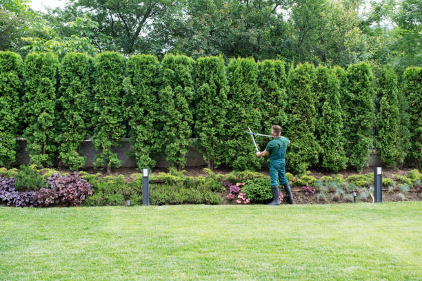 Lawn Drainage Solutions in Osprey, FL